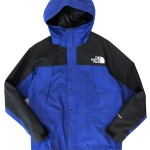 USED ITEM・THE NORTH FACE  Mountain Light Jacket  size:L【太田店】