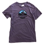 USED ITEM・Patagonia  SCOPE Tee  size:M【太田店】